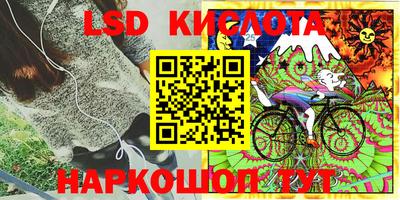 прущие грибы Гай