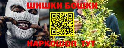 прущие грибы Гай