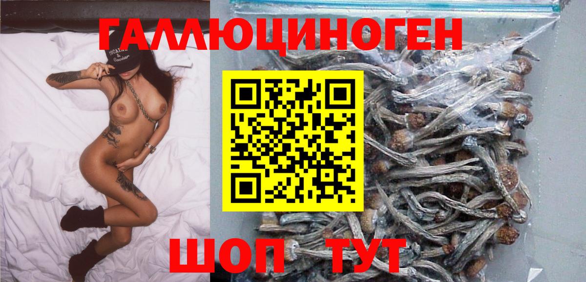 Галлюциногенные грибы GOLDEN TEACHER Новошахтинск