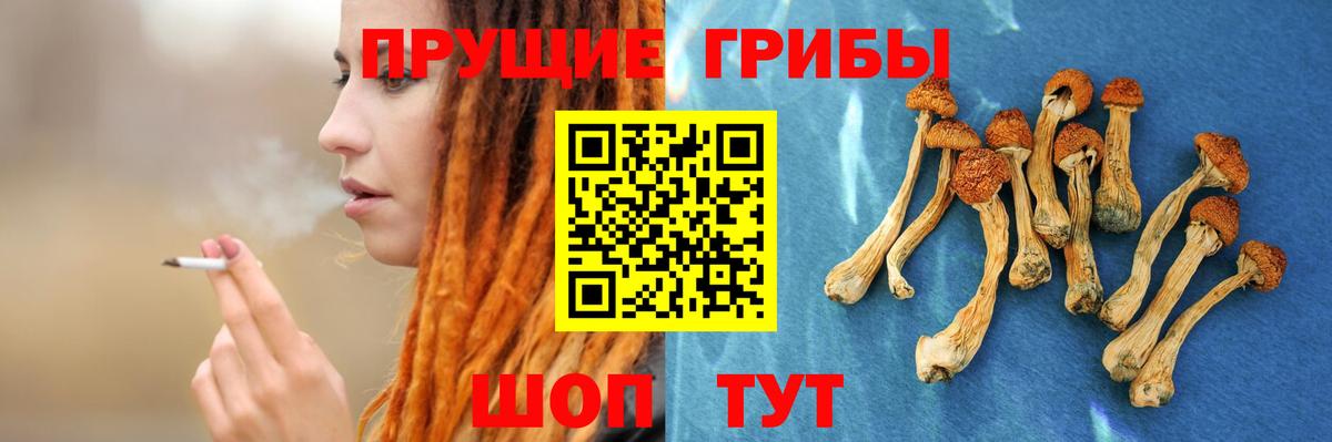 Галлюциногенные грибы Magic Shrooms  Псилоцибиновые грибы Magic Shrooms  как найти закладки  Вход с VPN  Новошахтинск 